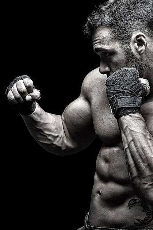 MMA